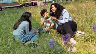 Groep kinderen en volwassene bij zonnebloemen, aandacht voor plant.