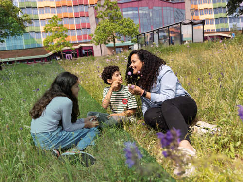 Groep kinderen en volwassene bij zonnebloemen, aandacht voor plant.
