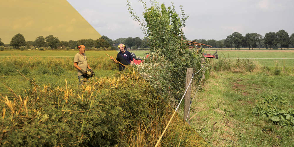 Twee personen werken aan een heg in een groen weiland.