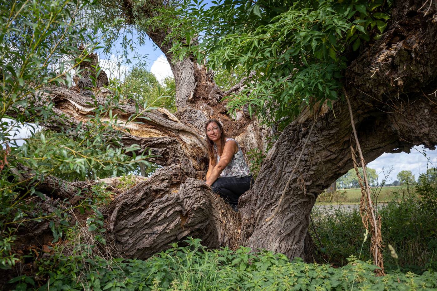 Vrouw zit in een grote oude boom, omringd door groen en natuur.