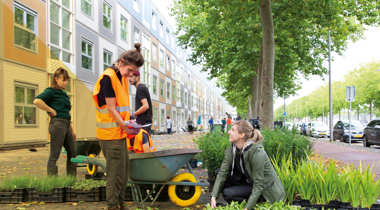 Mensen werken aan het vergroenen van een straat.