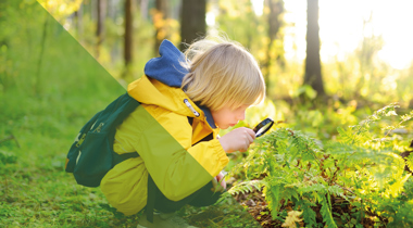 Jongen met vergrootglas in het bos bij een plantje