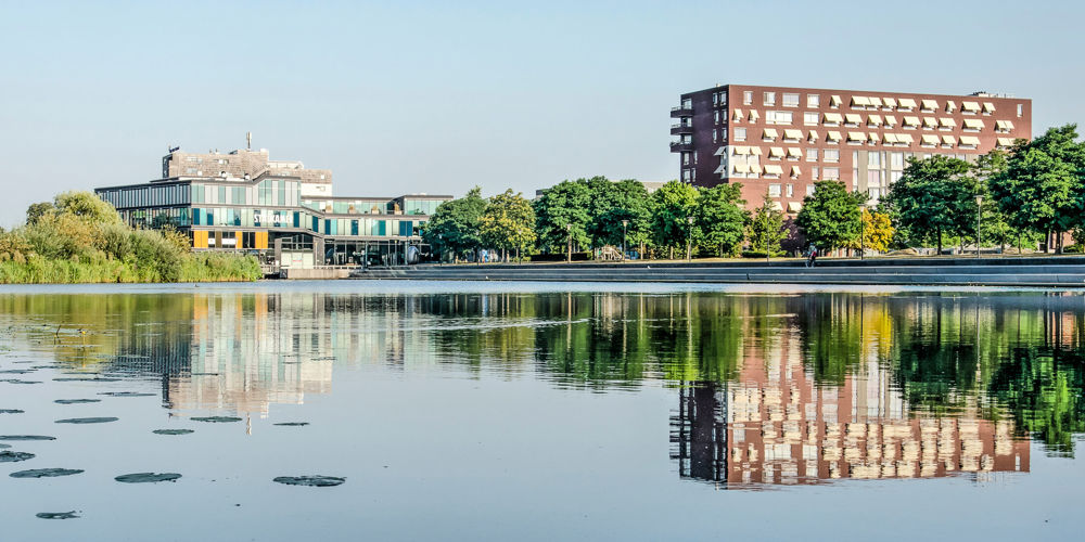 Meer met gebouwen en bomen op achtergrond