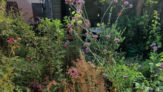 Weelderige tuin met bloeiende bloemen en houten tuinhuisje in de zon.