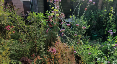 Weelderige tuin met bloeiende bloemen en houten tuinhuisje in de zon.