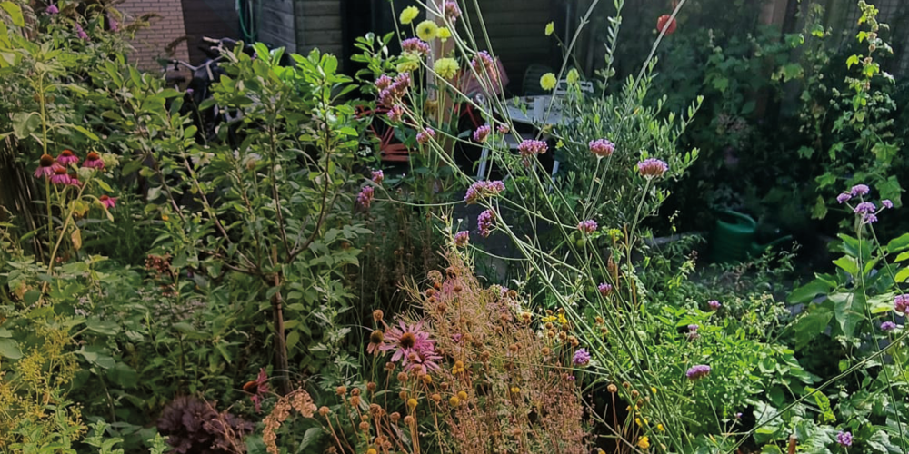 Weelderige tuin met bloeiende bloemen en houten tuinhuisje in de zon.