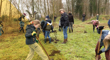 Groep mensen werkt samen in een groen bosgebied om jonge bomen te planten en de grond te bewerken.