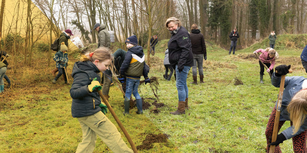 Groep mensen werkt samen in een groen bosgebied om jonge bomen te planten en de grond te bewerken.