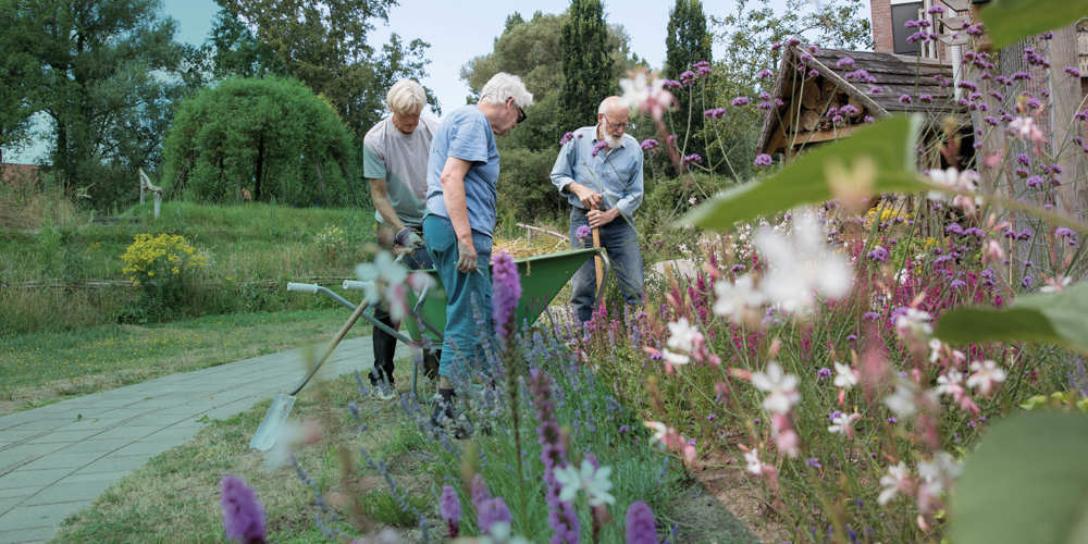 Drie mensen werken samen in een tuin met planten en gereedschap.