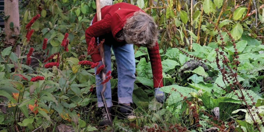  Ecologisch hovenier Irene Delnoy buigt zich over planten in een tuin met hoge begroeiing