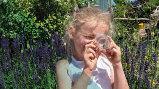 Kind bekijkt inhoud van doorzichtige container in tuin met paarse bloemen.