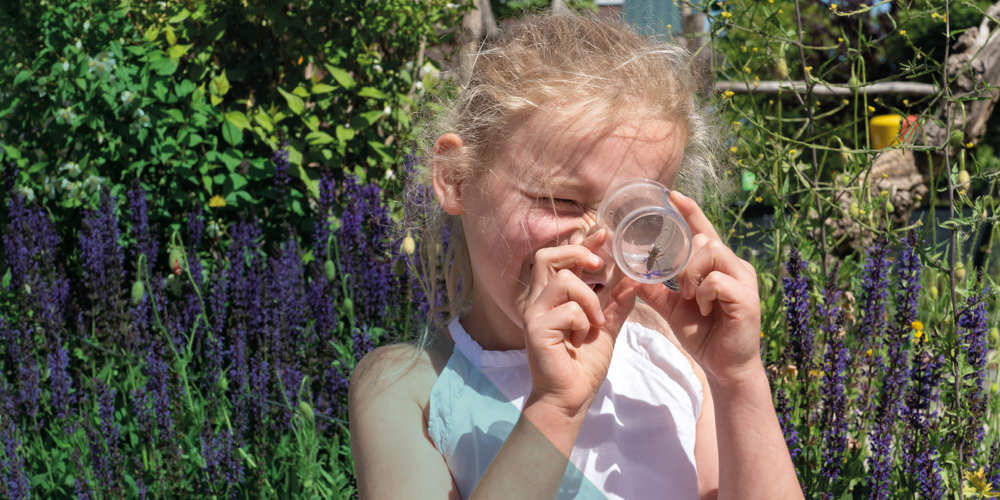 Kind bekijkt inhoud van doorzichtige container in tuin met paarse bloemen.