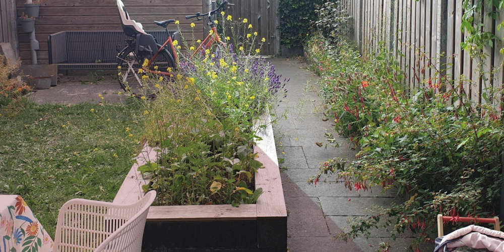 Stadstuin met bloeiende bloemen, fietsen en houten omheining