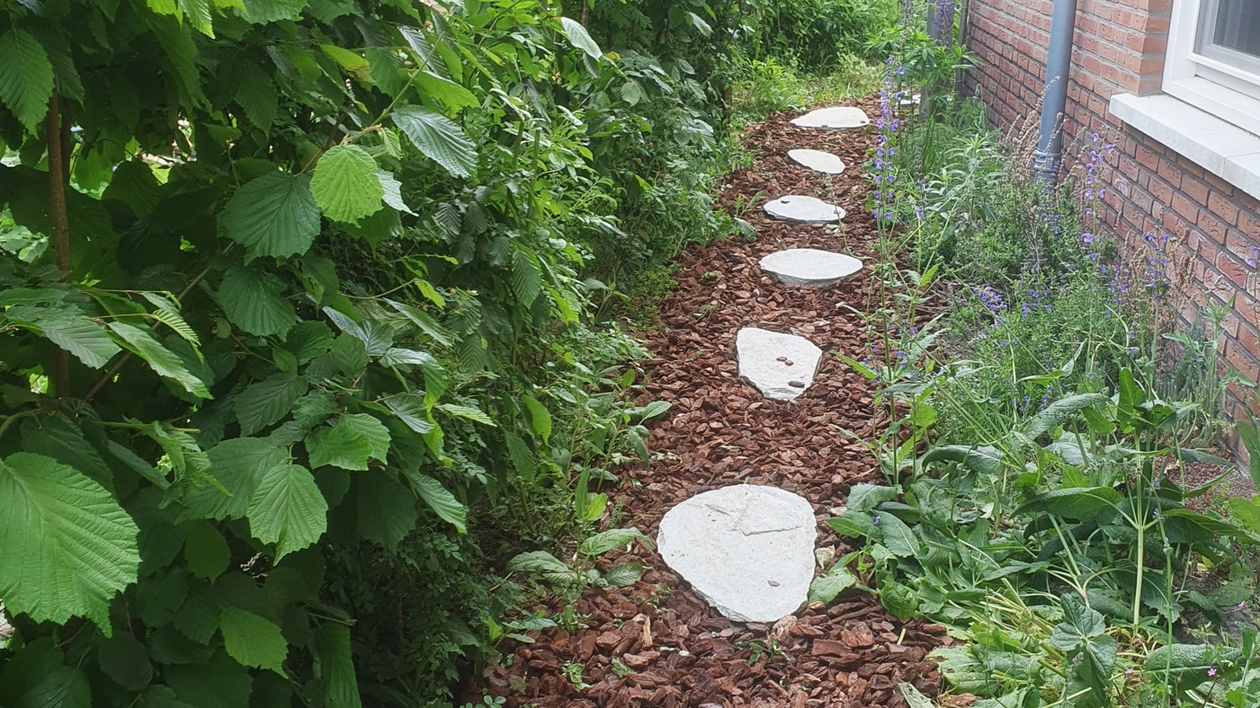 Een paadje langs het huis van boomschors en stepping stones. Tussen de woning en het paadje, links in beeld lage beplanting met kleine paarse bloemen. Aan de andere kant van het pad hogere, groene struiken.