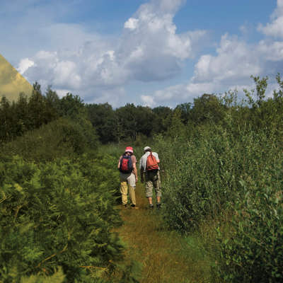 Twee mensen wandelen met rugzakken over een smal pad tussen groene struiken en bomen onder een deels bewolkte blauwe lucht.