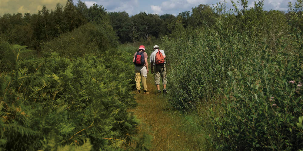 Twee mensen wandelen met rugzakken over een smal pad tussen groene struiken en bomen onder een deels bewolkte blauwe lucht.