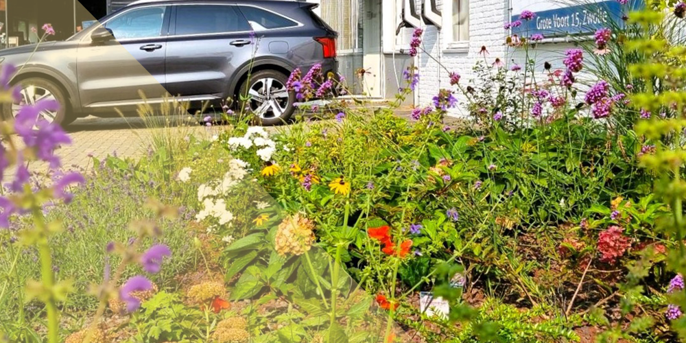 Een tuin met wilde bloemen met op de achtergrond twee bedrijfspanden