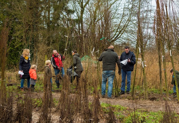 Mensen halen jonge bomen op tijden de boomdeeldagen