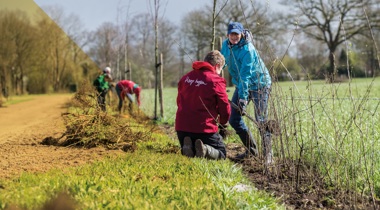 Planten van Hoogheggen | Sanko Fotografie