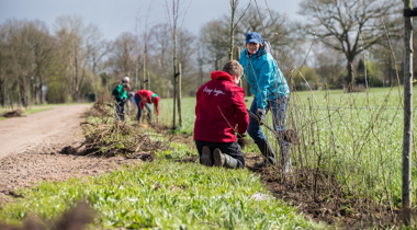 Planten van Hoogheggen | Sanko Fotografie