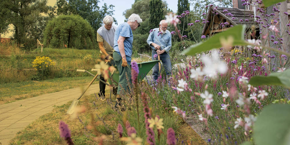 Drie personen werken in een tuin met bloemen en planten, gebruikmakend van tuingereedschap en een kruiwagen.