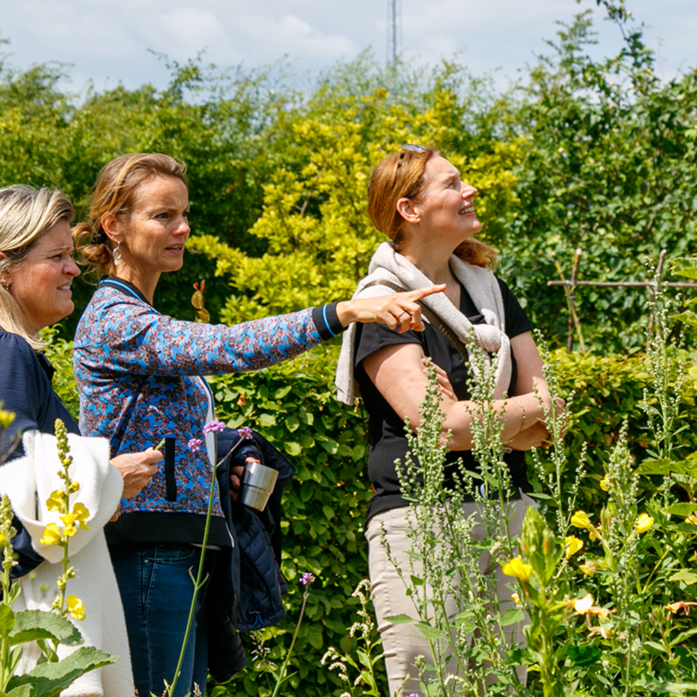 Drie vrouwen bekijken samen planten in een groene, zonnige tuin.