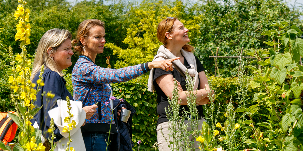 Drie vrouwen bekijken samen planten in een groene, zonnige tuin.