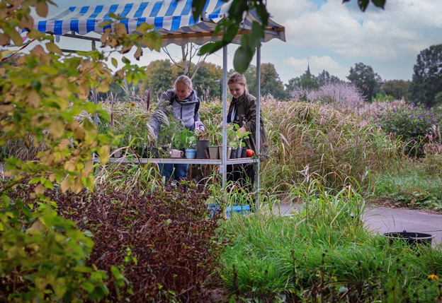 Twee bezoekers bekijken planten in een bloemenstalling.