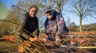 Twee personen leggen jonge bomen op een aanhanger in een buitenomgeving met kale bomen