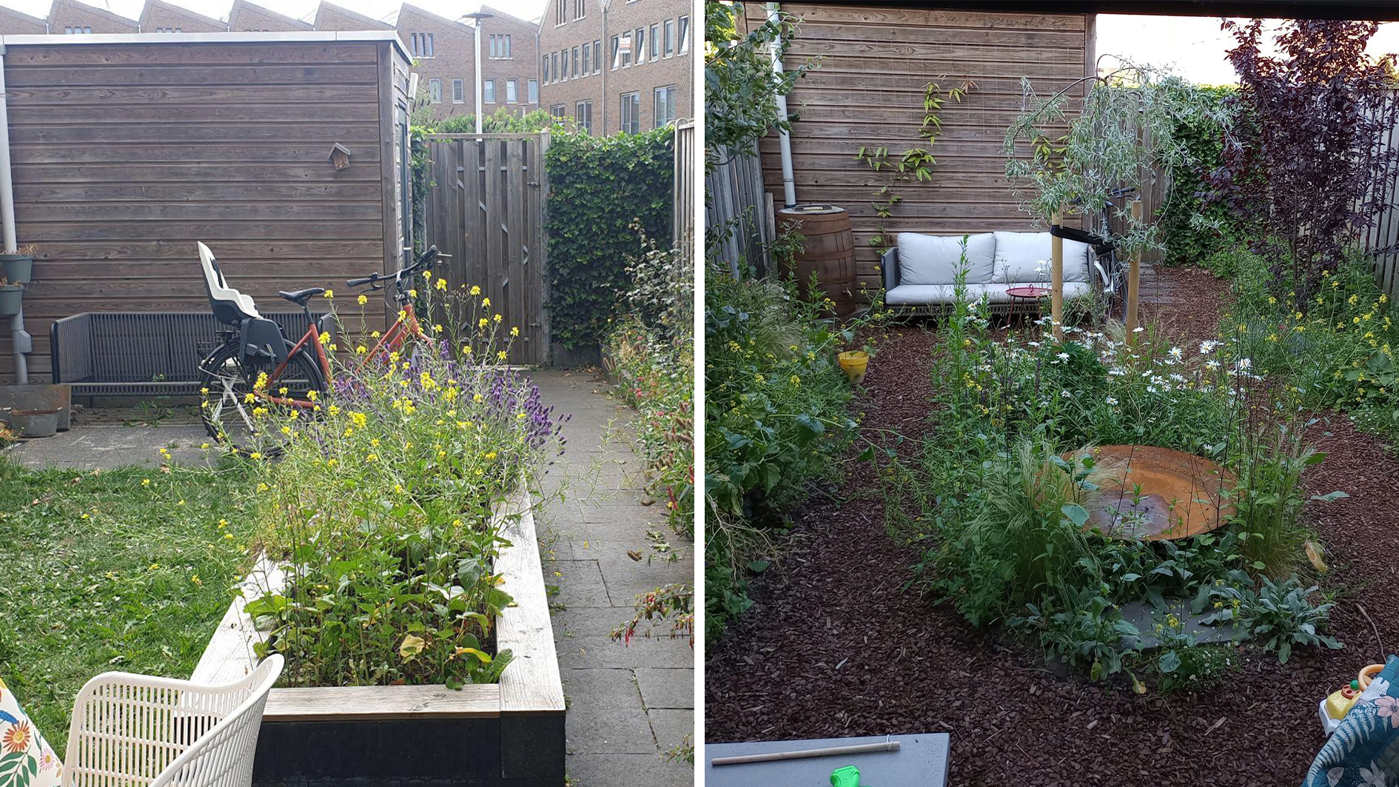 Links zie je de oorspronkelijk tuin en rechts de tuin die Jetske heeft aangelegd volgens de zeven stappen
