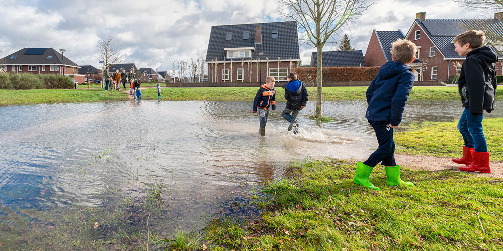 Kinderen spelen in een ondergelopen grasveld in een woonwijk, met huizen en bomen op de achtergrond.