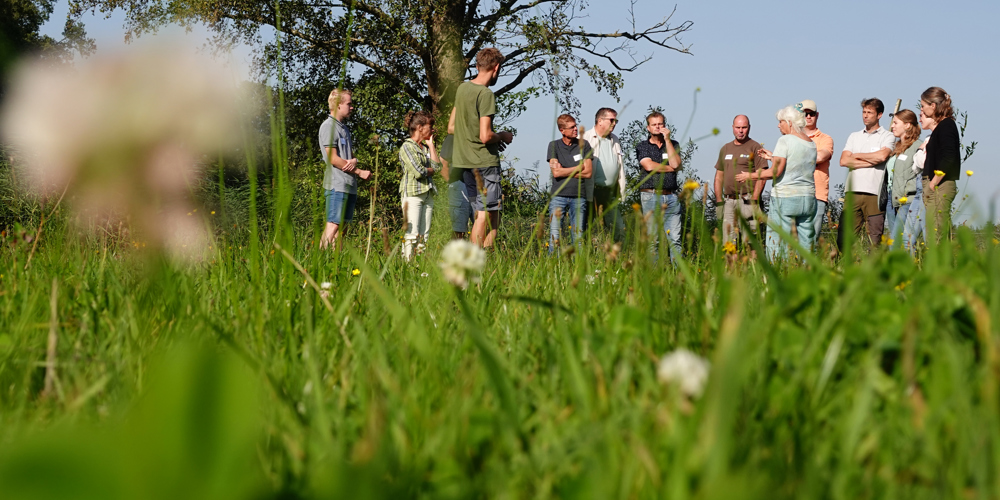 Groep mensen staat in een groene weide met bloemen, in gesprek bij een boom op een zonnige dag.