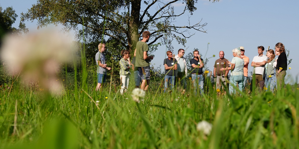 Groep mensen staat in een groene weide met bloemen, in gesprek bij een boom op een zonnige dag.