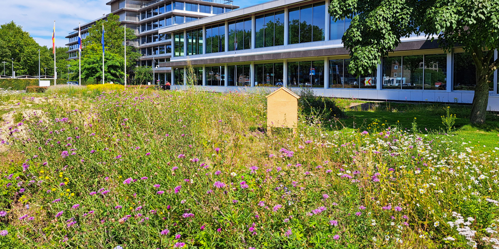 Landschapstuin provinciehuis in Zwolle