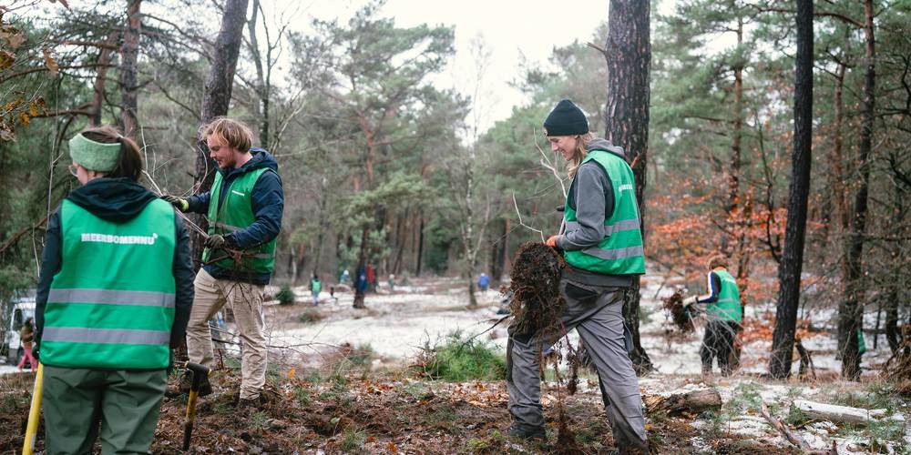 Vrijwilligers in de weer met jonge bomen in het bos tijdens de Meer Bomen Nu-actie. Foto Gabriela Hengeveld.