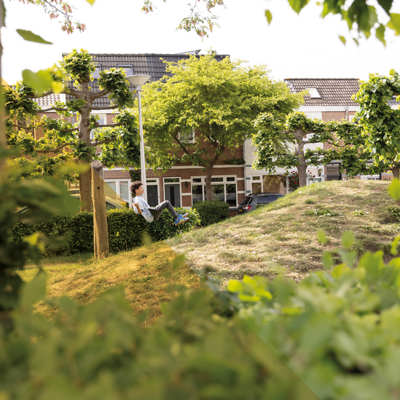 Groene buurt met bomen, struiken en grasheuvels, met woningen op de achtergrond.