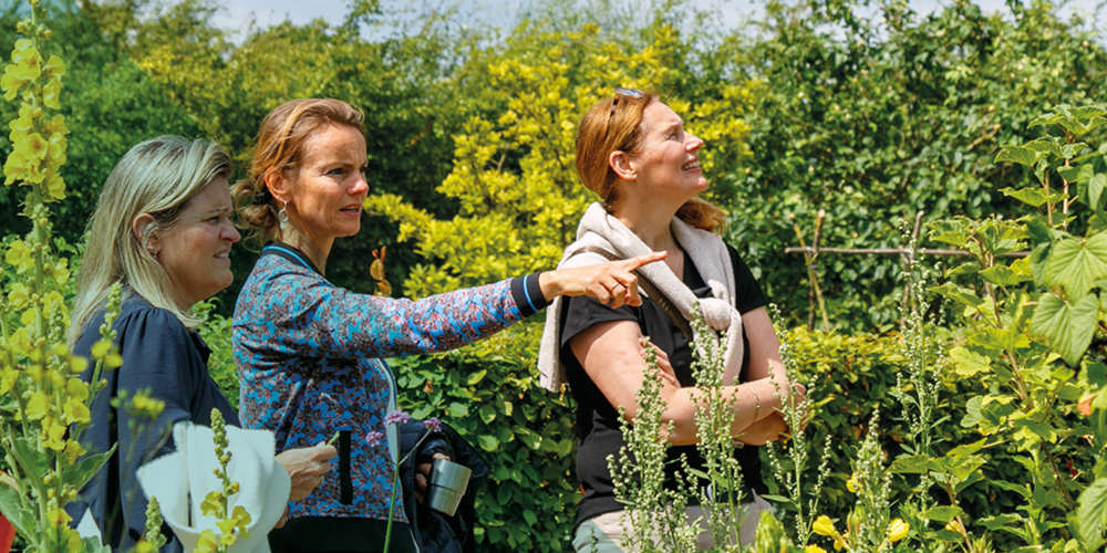 Drie personen staan in een groene tuin met bloeiende planten, terwijl één persoon naar iets wijst.