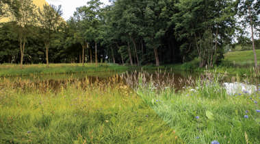 Klein meer omringd door gras en wilde bloemen, met een dichte rij bomen op de achtergrond onder een deels bewolkte lucht.