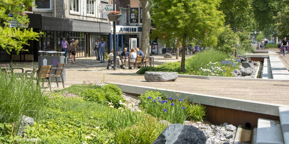 Groene winkelstraat met bomen, zitbanken en natuurlijk waterafvoer in een stedelijke omgeving.